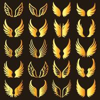Golden wings set. vector