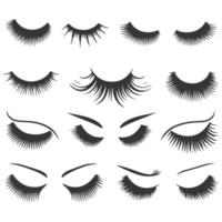 A set of different eyelashes and lashes vector