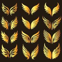 Golden wings set of wings on black background vector