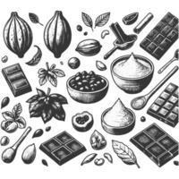 Chocolate and cocoa ingredients in a black and white drawing vector