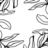 Black and white botanical hand drawn line illustration, contour leaves frame with a blank space. for nature inspired designs, invitations, borders, backgrounds in minimalistic elegant styles vector