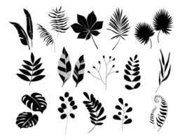 Set of monochrome abstract silhouettes of plants, leaves, branches. vector