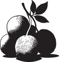 Black and white illustration of fruit vector