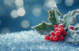 Frosted holly leaves with red berries placed on a shimmering blue background during winter photo