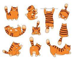 Set of funny cartoon tiger character illustration. Animal collection for print baby design or web graphic. vector