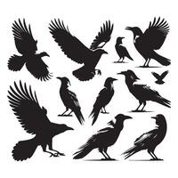 Selection of black crow shapes displayed on a white background vector