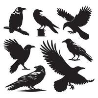 Series of crow shapes outlined on a white background vector