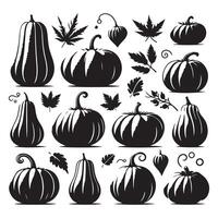 Set of pumpkin shadows on a white background vector