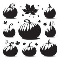 Display of pumpkin shapes isolated against white vector