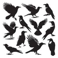 Array of crow shapes shown on a white surface vector