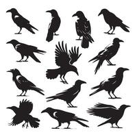 Assortment of dark crow shapes on a white background vector
