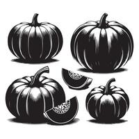 Variety of pumpkin shapes isolated on a plain white background vector