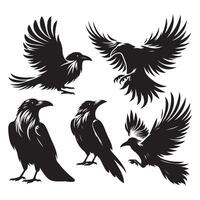 Grouping of crow shapes against a white background vector