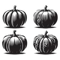 Range of pumpkin shapes displayed on a white surface vector