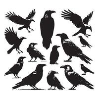 Assortment of crow outlines on a white background vector