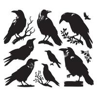 Arrangement of crow shapes on a white backdrop vector