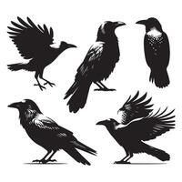 Flock of crow shapes on a white backdrop vector