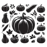 Various pumpkin shapes on a clean white background vector