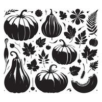 Selection of pumpkin shapes positioned on a white background vector