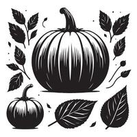 Array of pumpkin outlines isolated on a white background vector