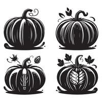 Different pumpkin shapes arranged on a white background vector