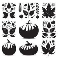 Assorted pumpkin silhouettes on a white background vector