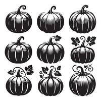 Group of pumpkin outlines presented on a white background vector