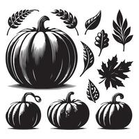 Grouping of pumpkin shapes isolated on a white backdrop vector