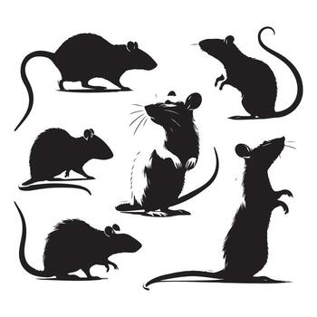 Rat silhouette graphics set on a white background vector