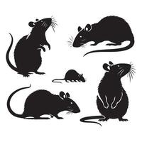 Set of different rat silhouettes on a plain white background vector