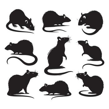 Array of rat silhouettes on a blank white background vector