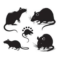 Black rat silhouettes on a clear white background vector