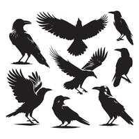 Collection of black crow shapes on a white background vector