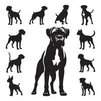 Shadowed outline of a boxer dog on a blank white backdrop vector