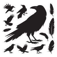 Grouping of crow silhouettes on a white surface vector