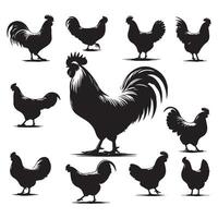 Array of chicken silhouettes presented on a white canvas vector