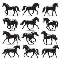 Set of horse silhouettes set apart on a white backdrop vector