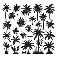 Ensemble of palm tree shadows shown on a white canvas vector
