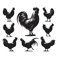 Cluster of chicken silhouettes depicted on a white canvas vector