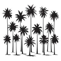 Collection of palm tree shadows arranged on a white background vector