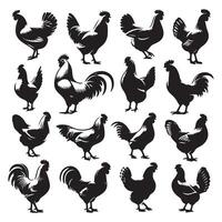 Selection of chicken silhouettes isolated on a white background vector
