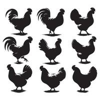 Assortment of chicken silhouettes set against a white background vector