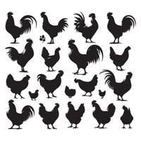 Group of chicken silhouettes displayed on a plain white surface vector