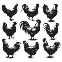 Batch of chicken silhouettes highlighted on a white surface vector