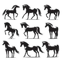 Ensemble of horse silhouettes contrasted with a white canvas vector