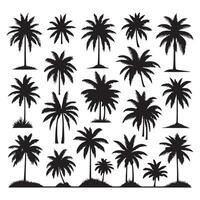 Collection of palm tree profiles isolated against a white canvas vector