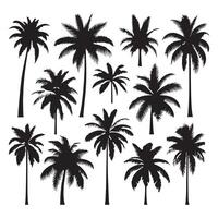 Set of palm tree contours highlighted on a clean white canvas vector
