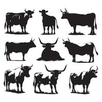 Ensemble of cow silhouettes represented on a white canvas vector