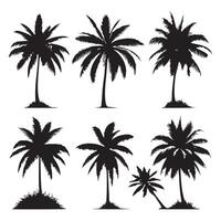 Batch of palm tree outlines featured on a white background vector