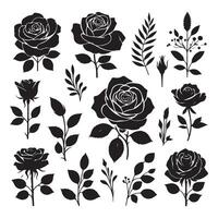 Arrangement of rose silhouettes set apart on a white background vector